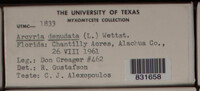 Image Associated With the Occurence
